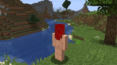 minecraft naked skin|Nudity Minecraft Skins 